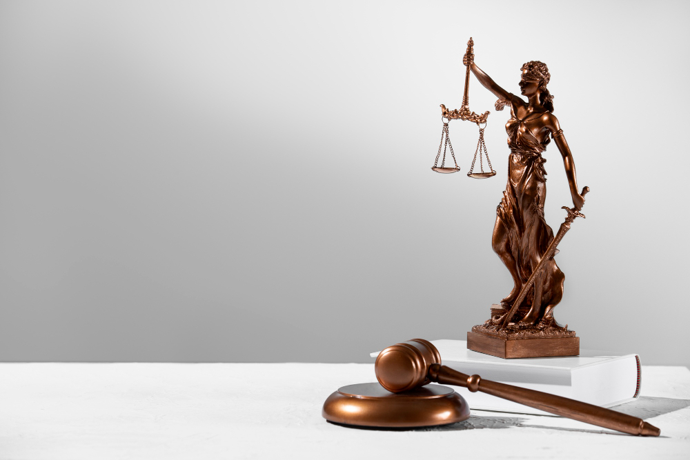 Ley de eficiencia de la justicia